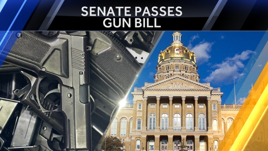 Stand-Your-Ground Law Clears the Senate!