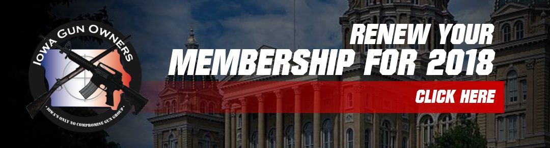 Help Me Pass Constitutional Carry in 2018!