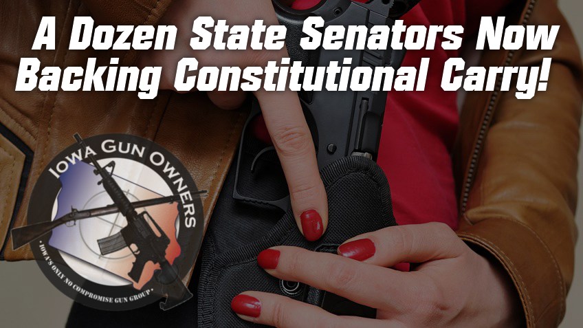 A Dozen State Senators Now Backing Constitutional Carry!