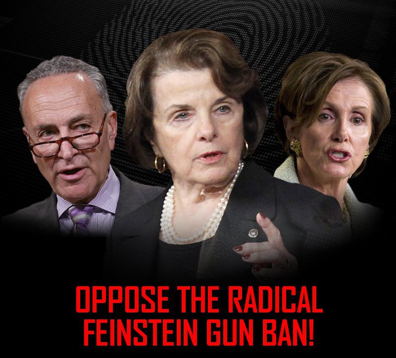 rad-feinstein-wb