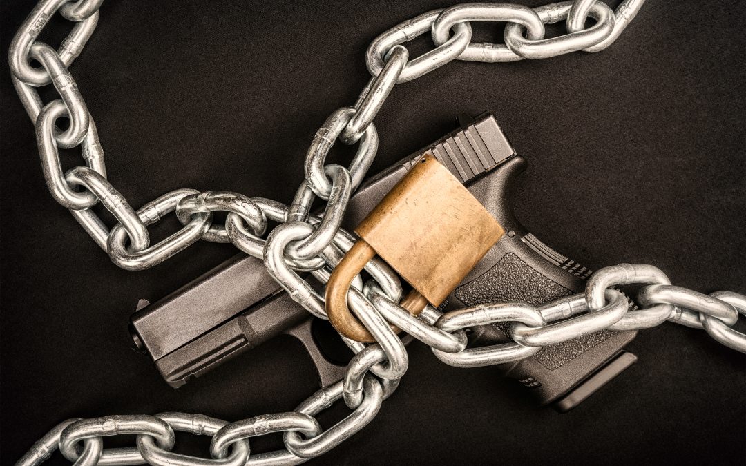 Gun Control is Moving in the Senate – Take Action Now!