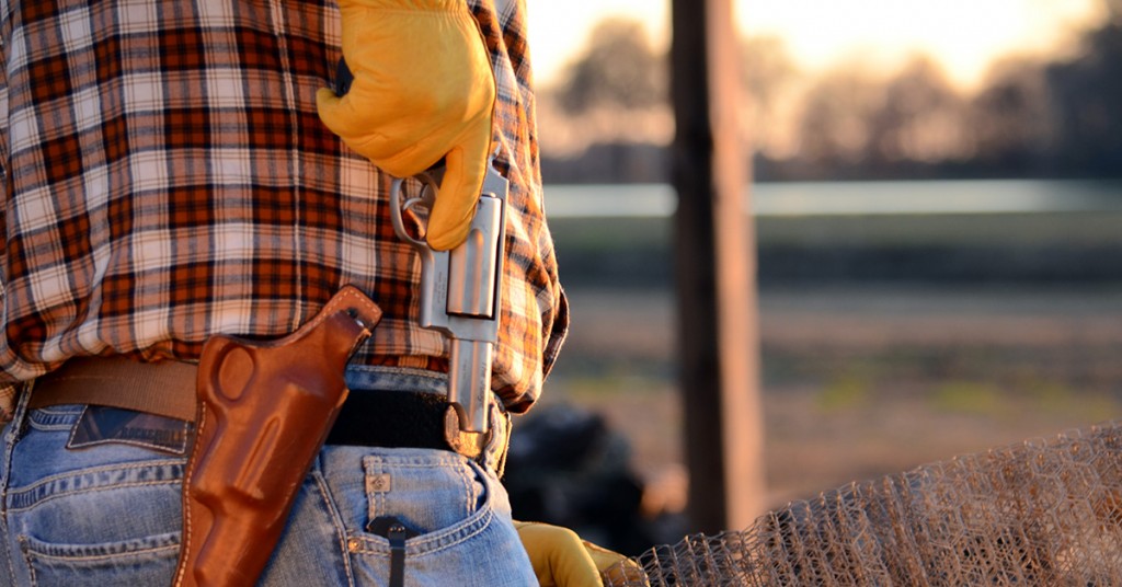 Constitutional Carry Passes the Iowa House!