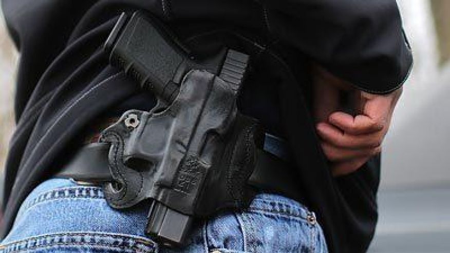 The Second Amendment Preservation Act!
