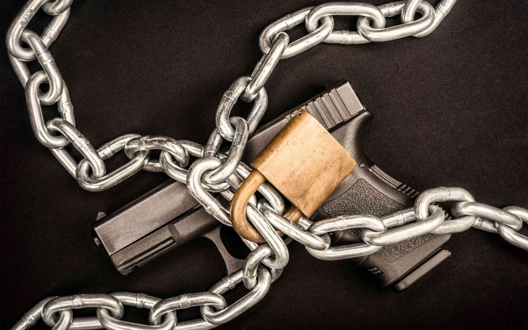 Emergency: Gun Control Hearings Happening TOMORROW!