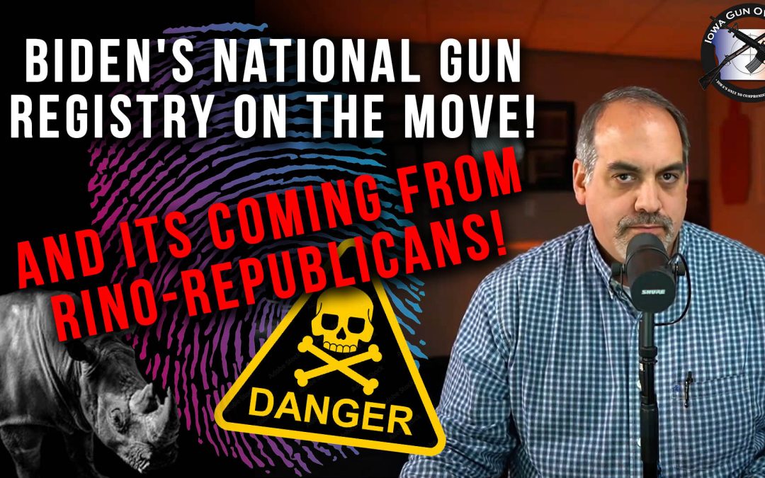 Must Watch Video: GOP-Sponsored Gun Control Filed!